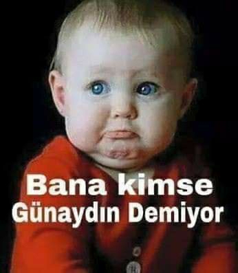 Melek