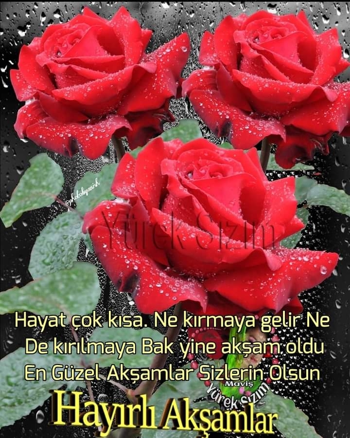 Melek