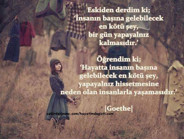 Gazel