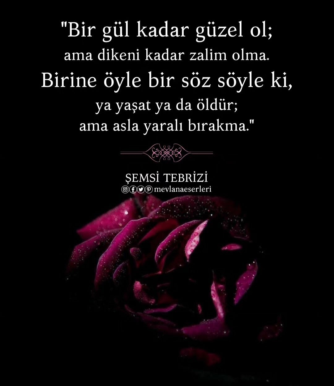T C Yıldız