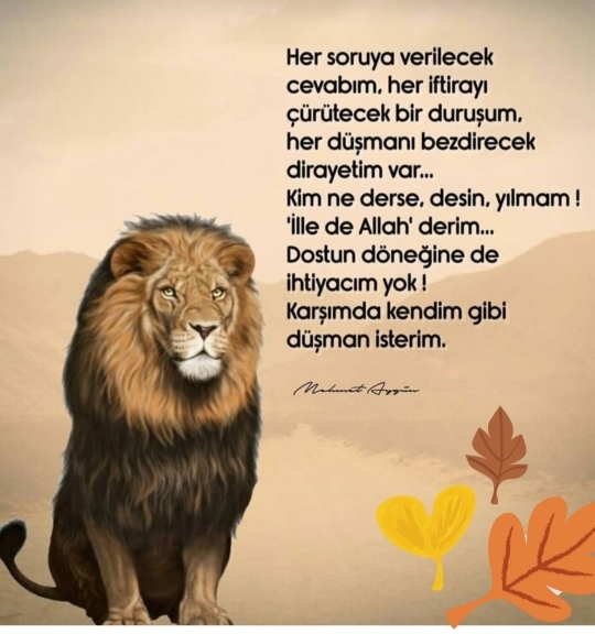 Alev