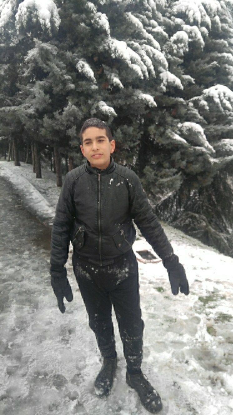 Alp