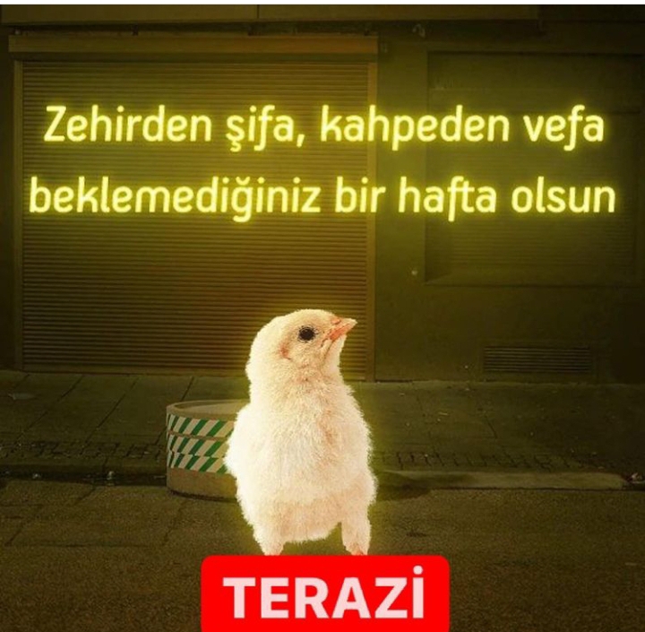 Seçil