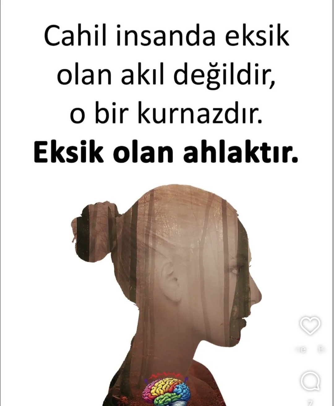 Şenol