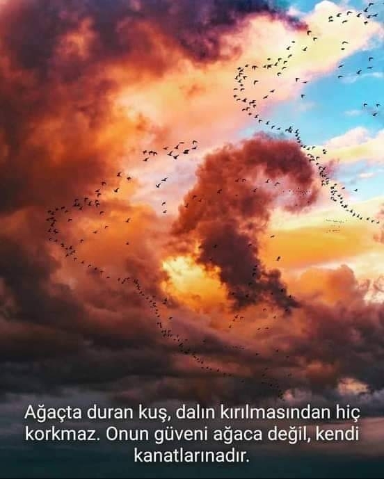 Vuslat