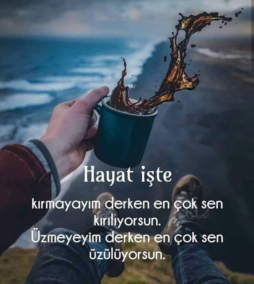 Gazel