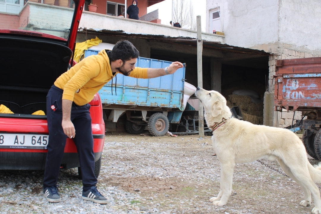 Mehmet