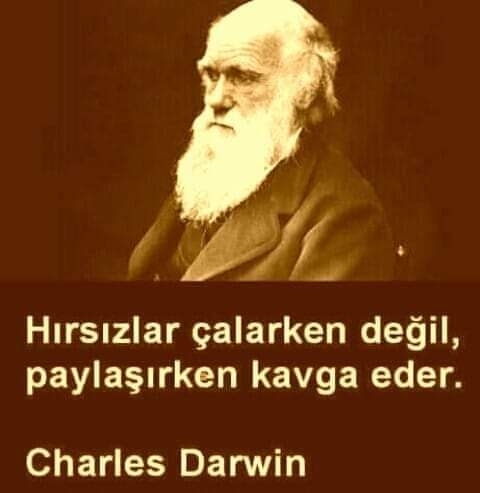 Yavuz