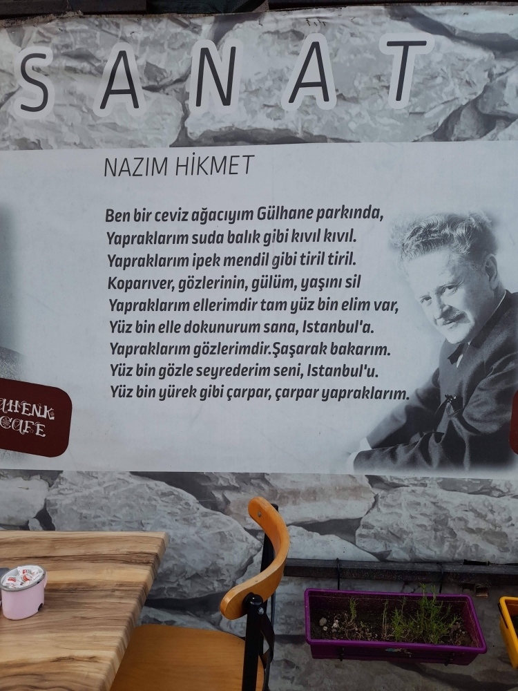 Doğan