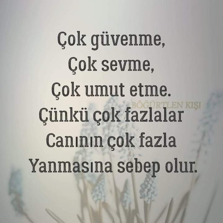 Nur