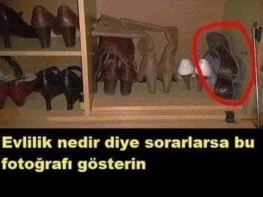 Serdar