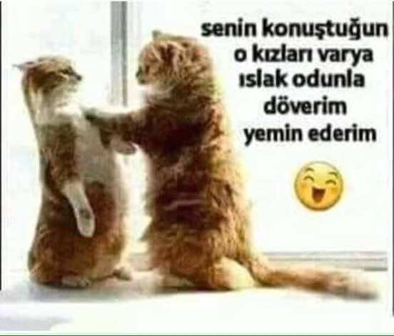 Serdar