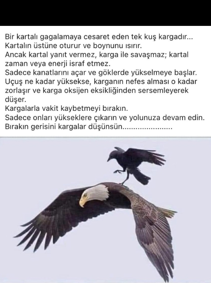 Özlem