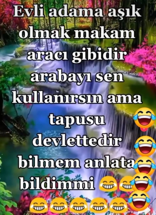 Serdar