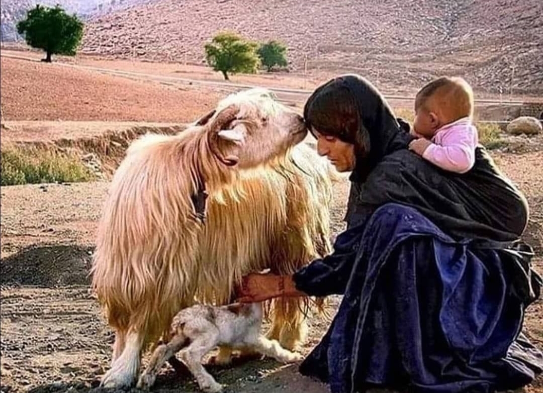 Pınar