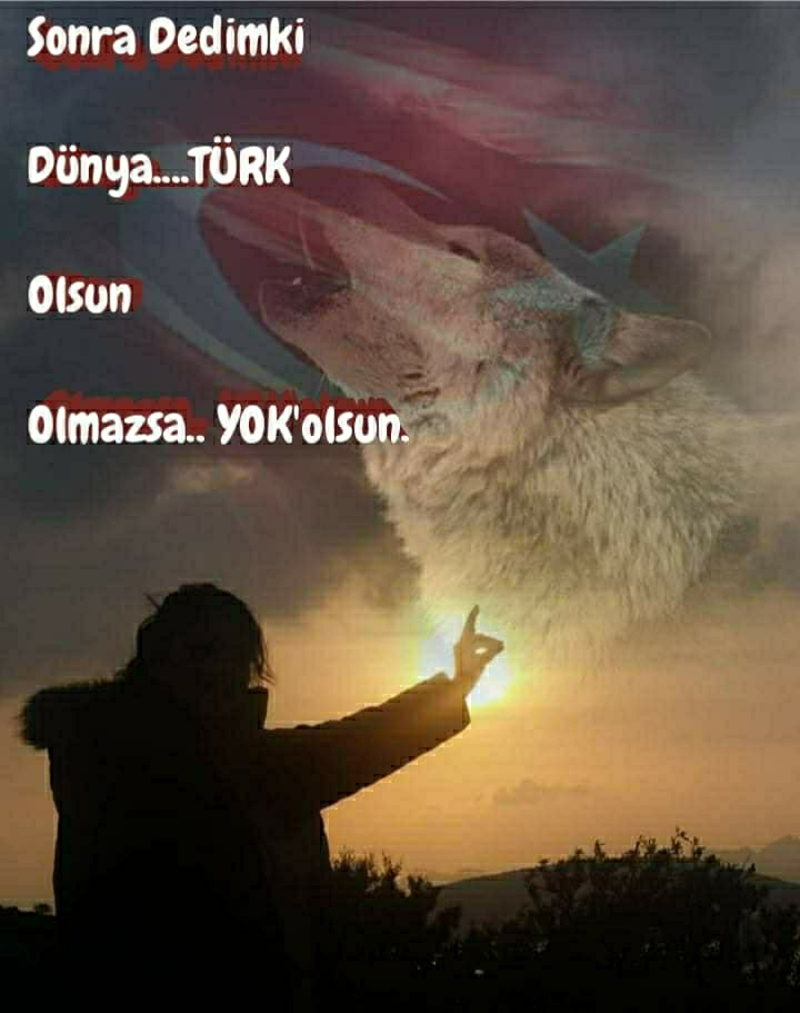 Aysun
