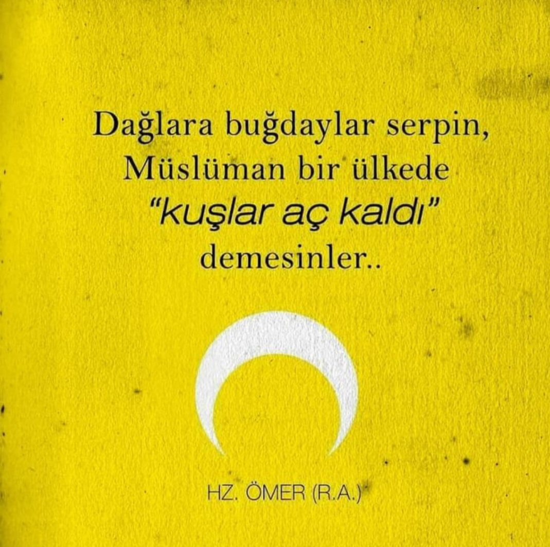 T C Yıldız