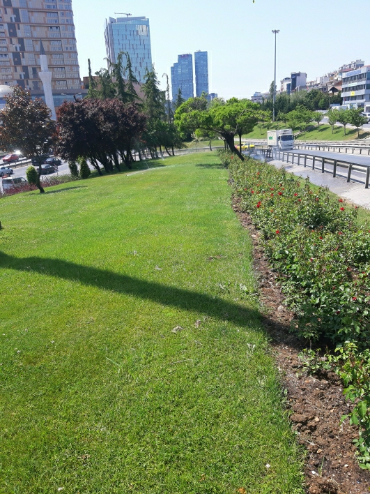 Fırat