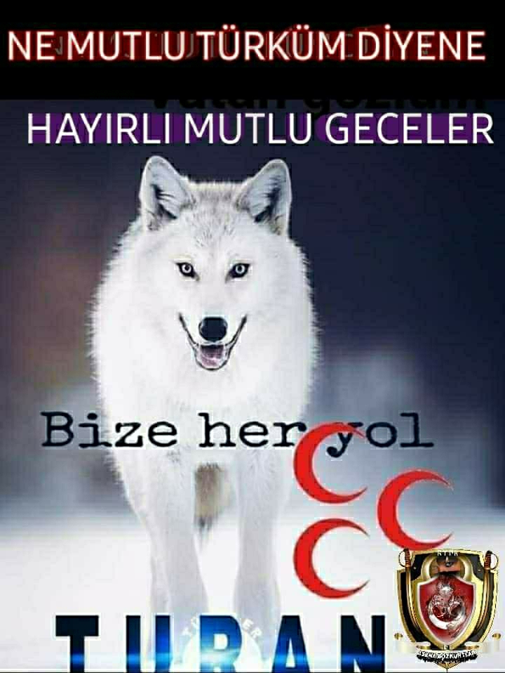 Aysun