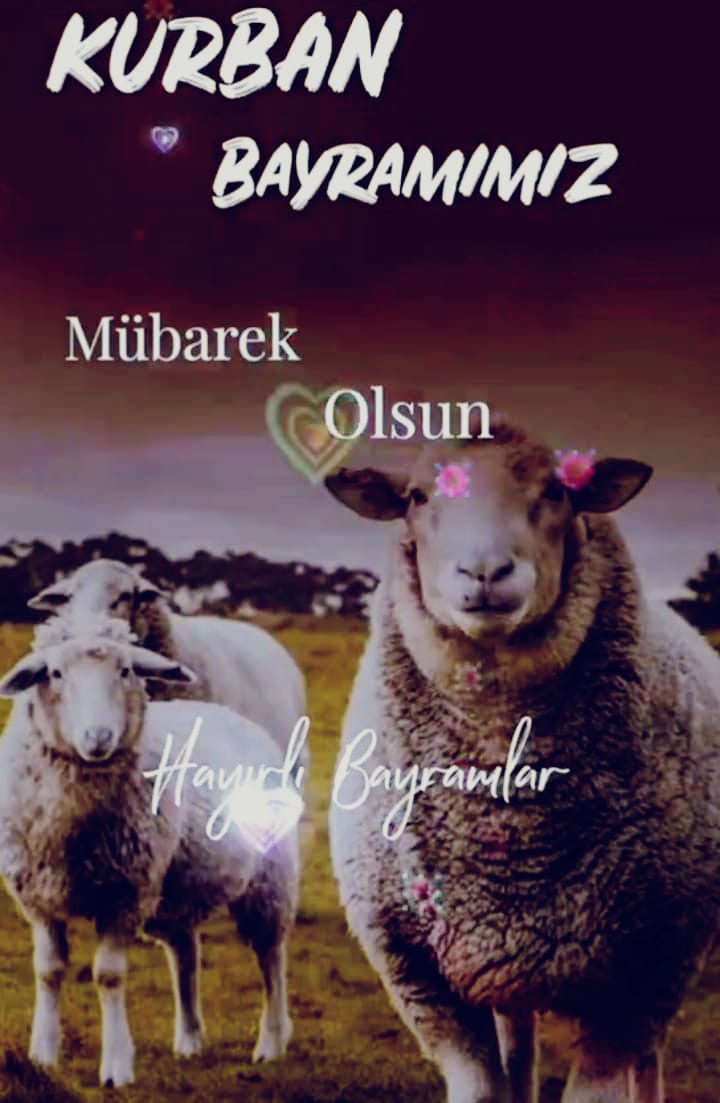 Hasan