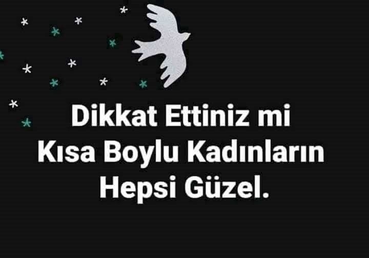 Serdar