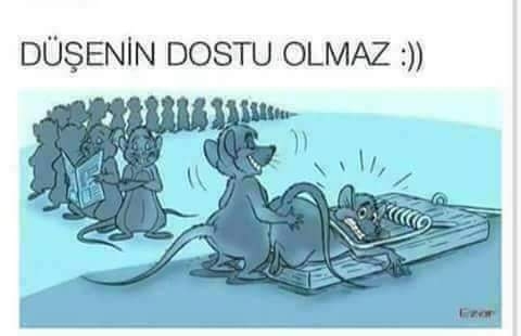 Tamer