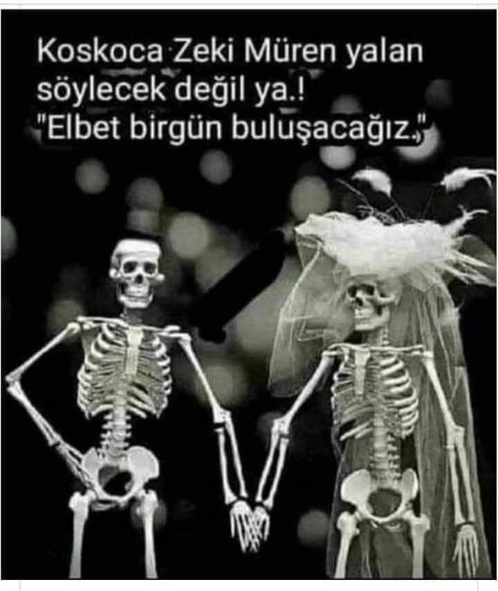 ASLI