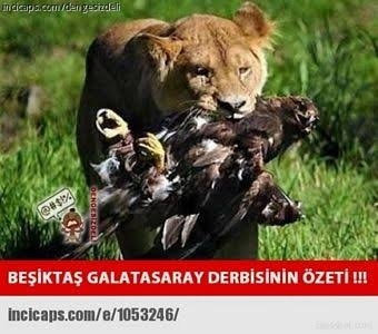 Galip