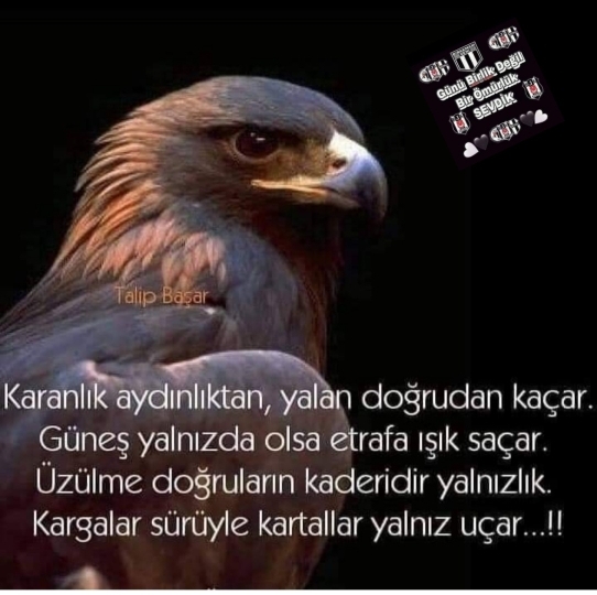 Seval