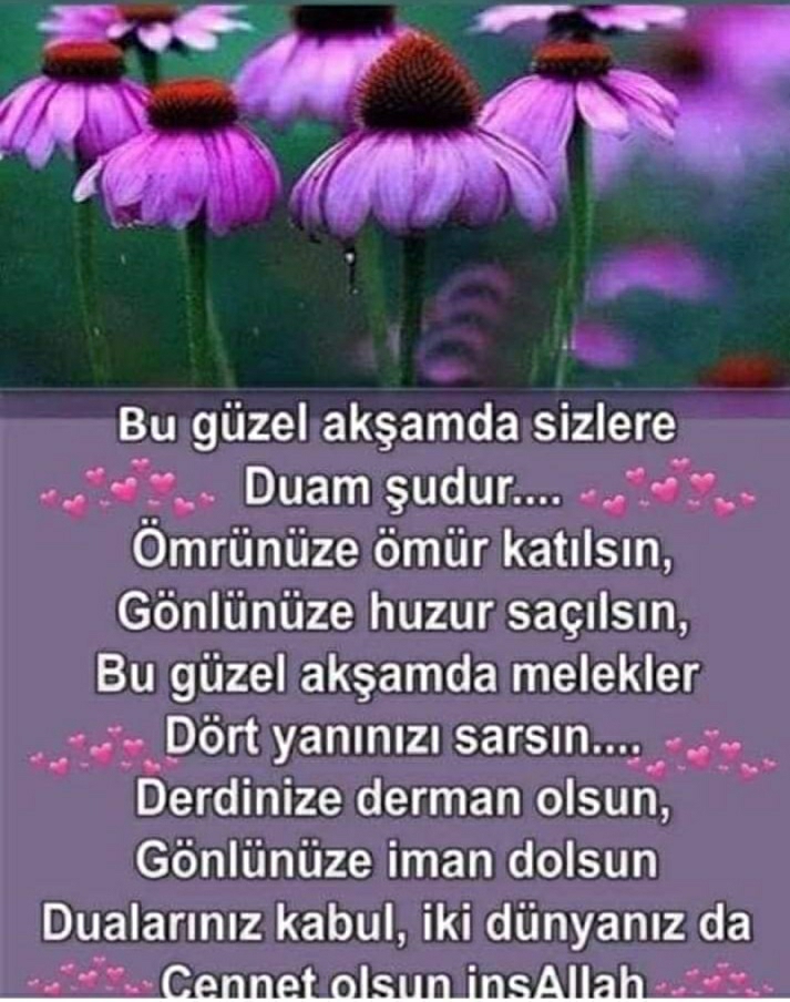 Kadriye