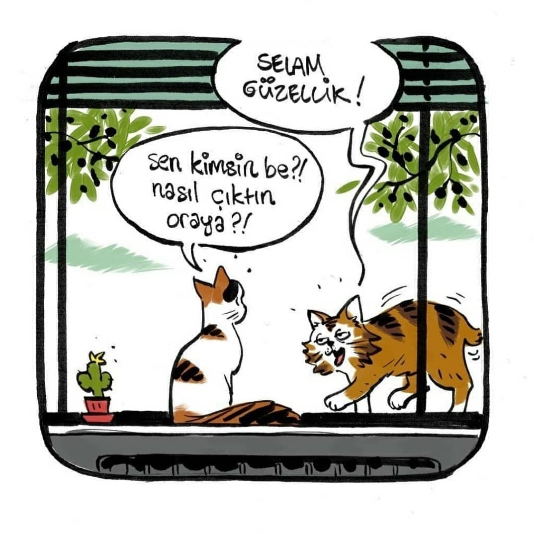 Serdar