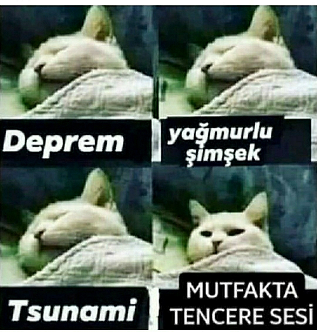 Yılmaz
