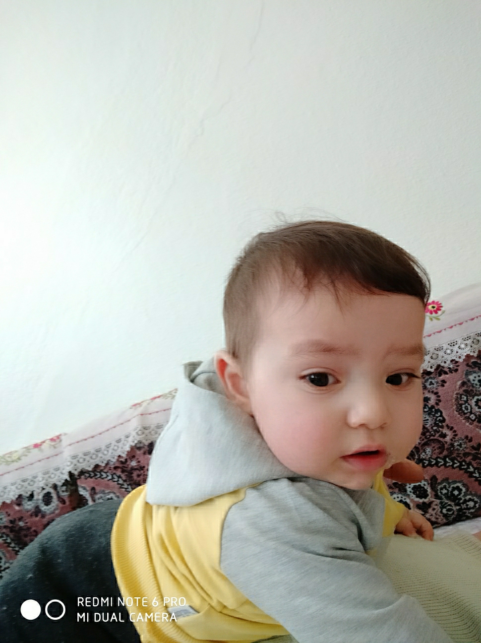Mahmut