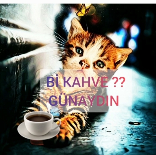 Aynur