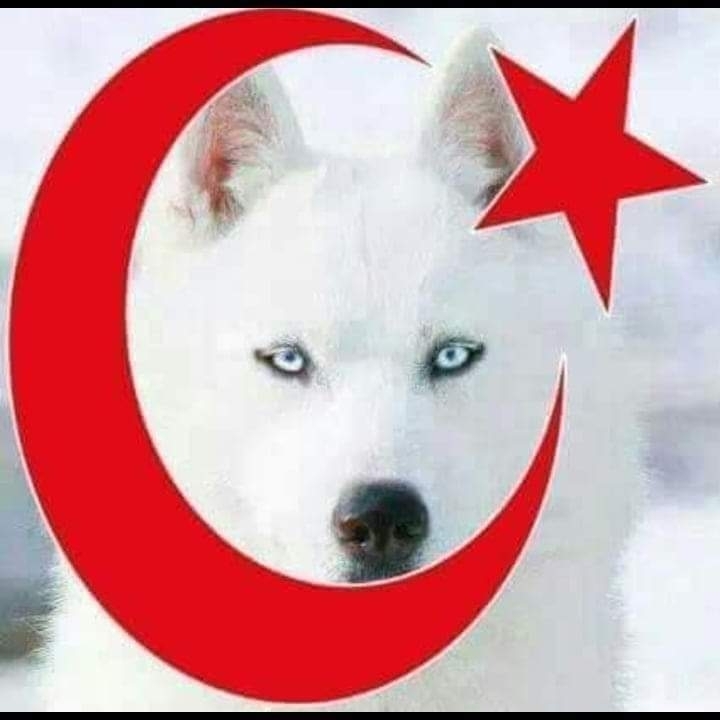 Erdoğan