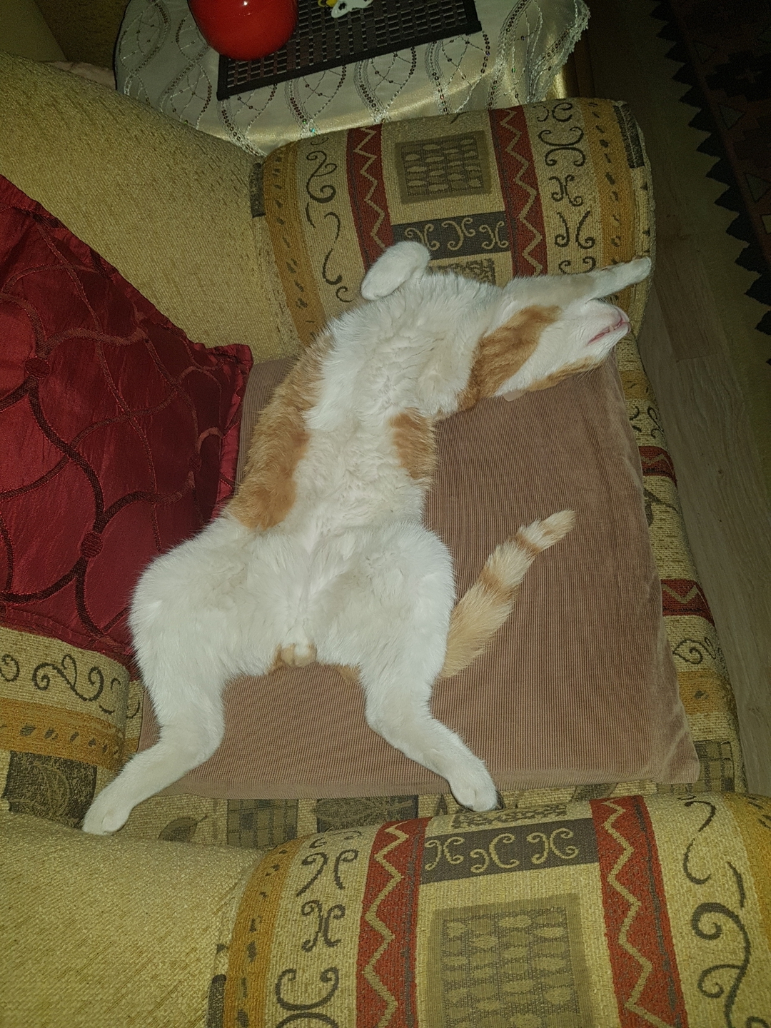 Serdar