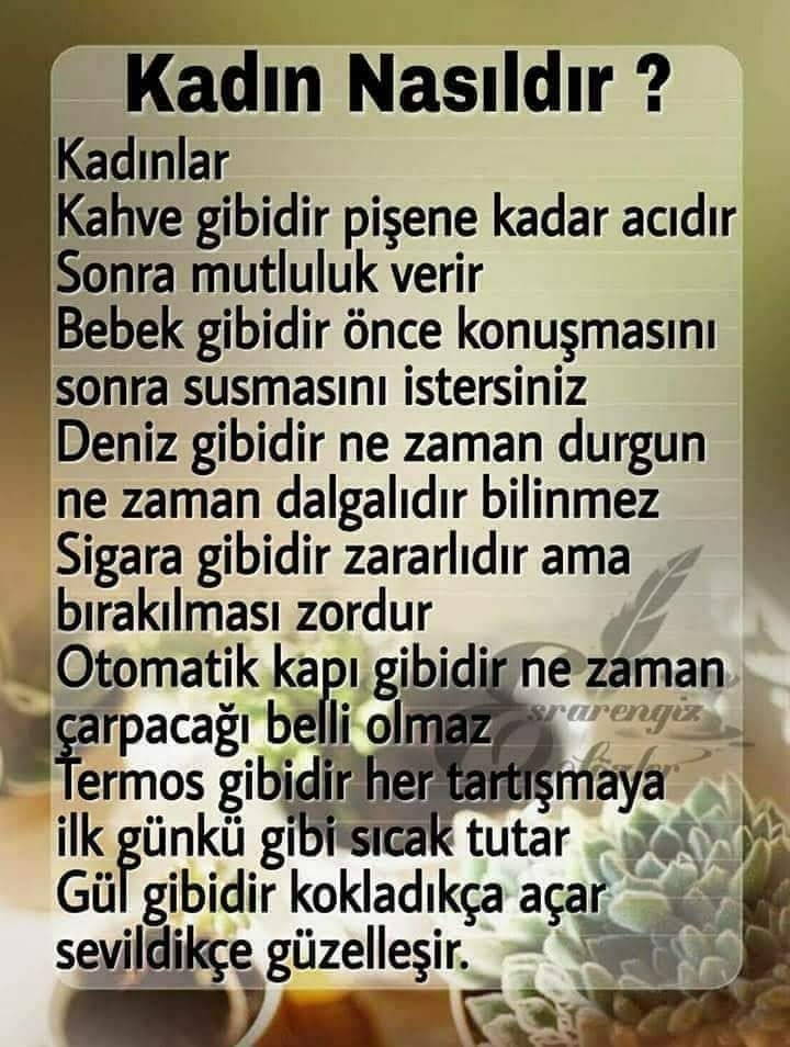 Serdar
