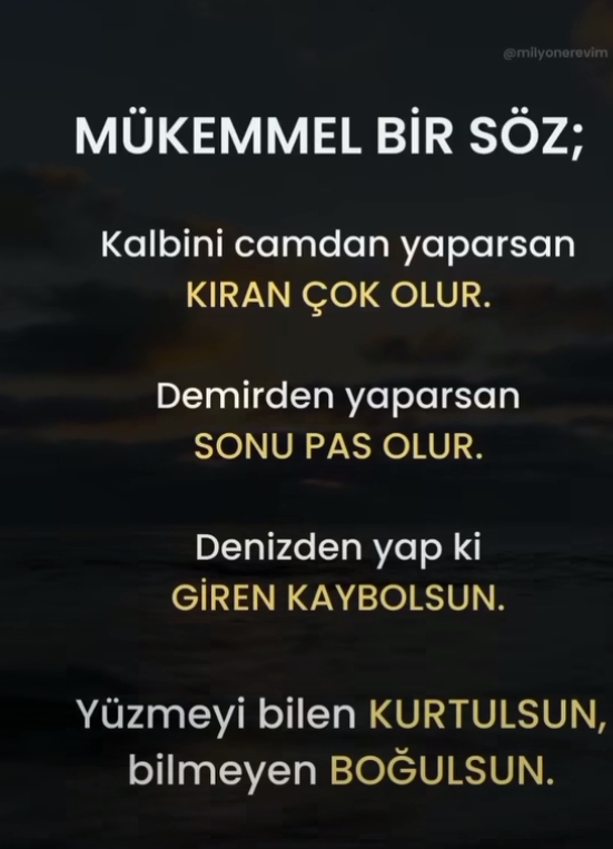 Elzemzeynep