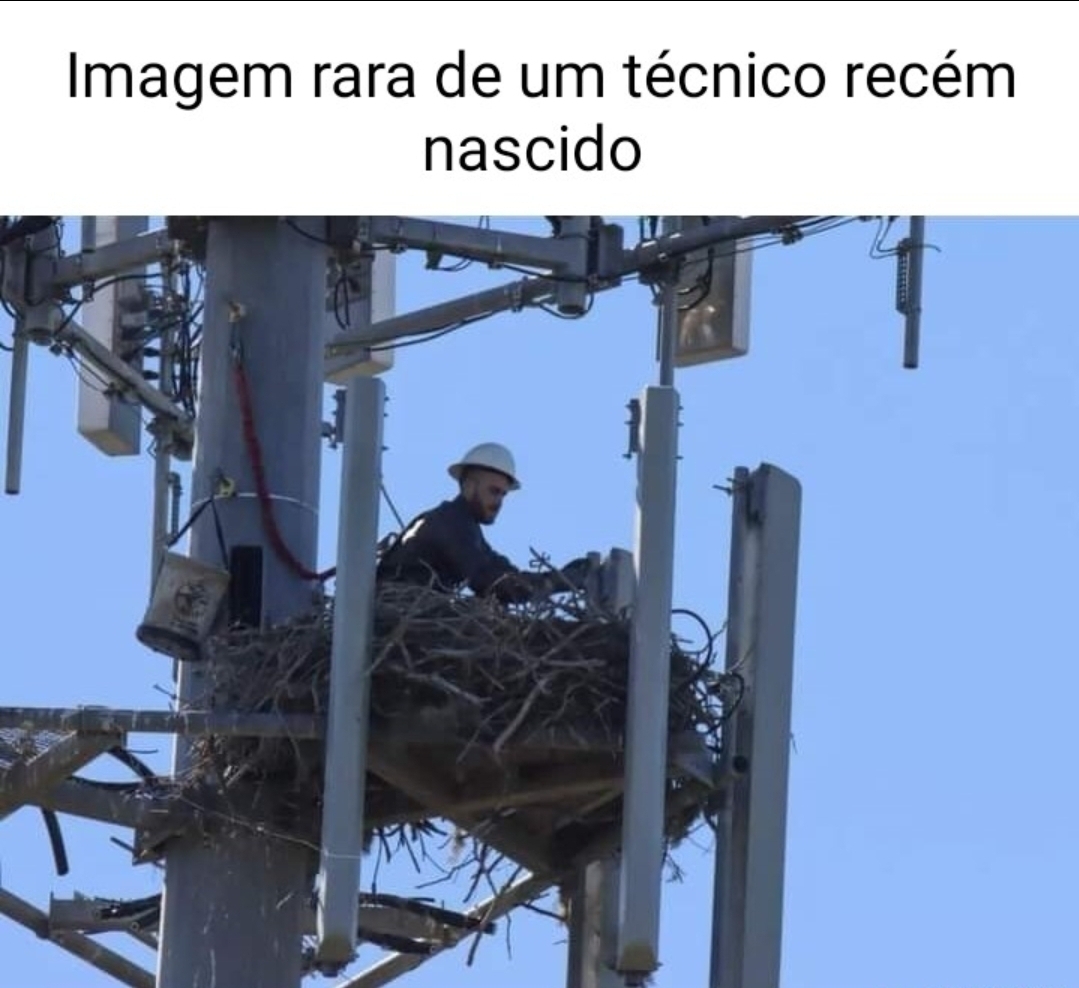 Ricardo