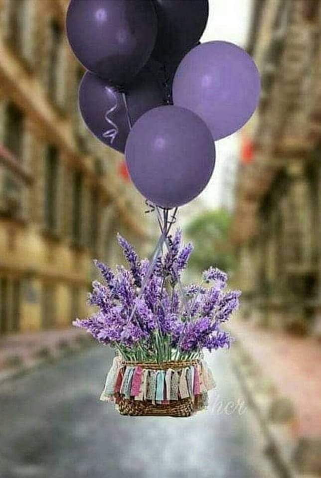 Gülhan