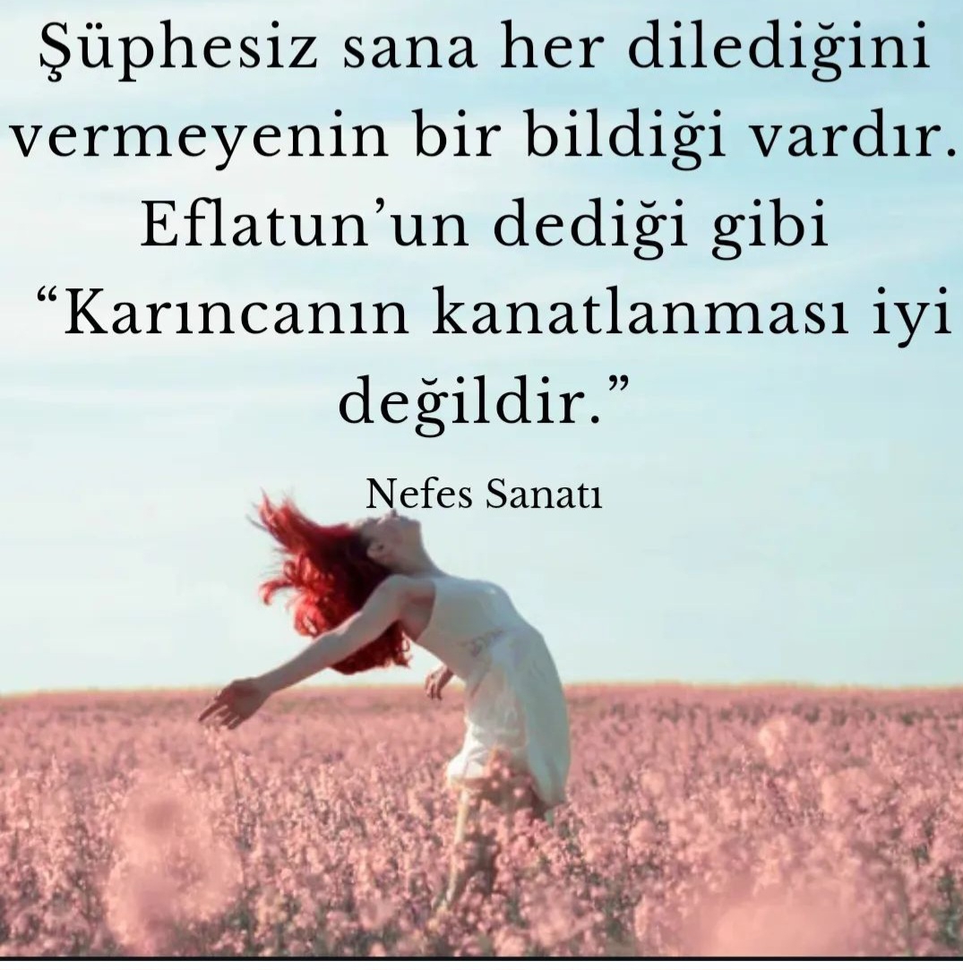 T C Yıldız