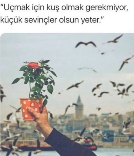 Zeynep