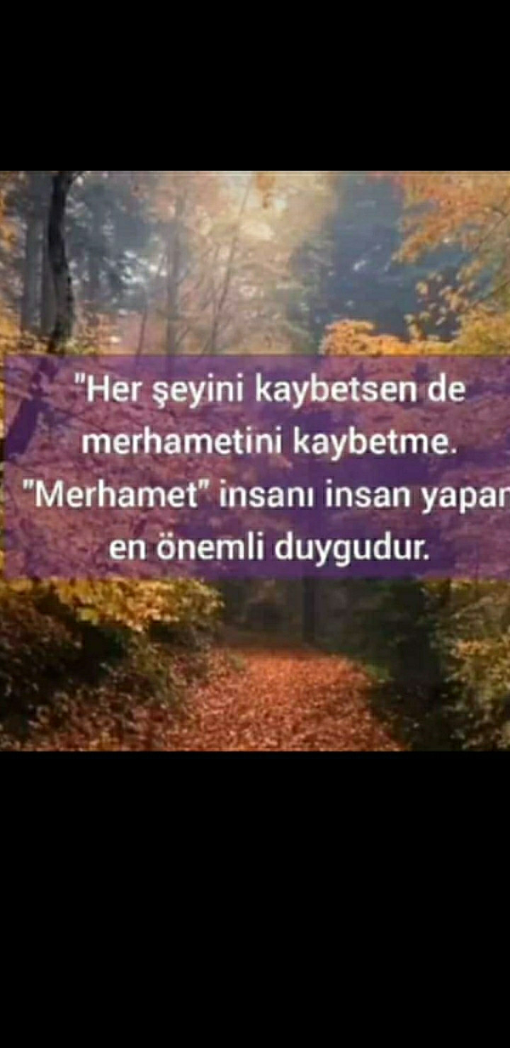 Gül