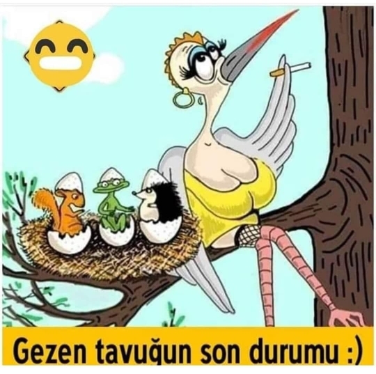 Serdar