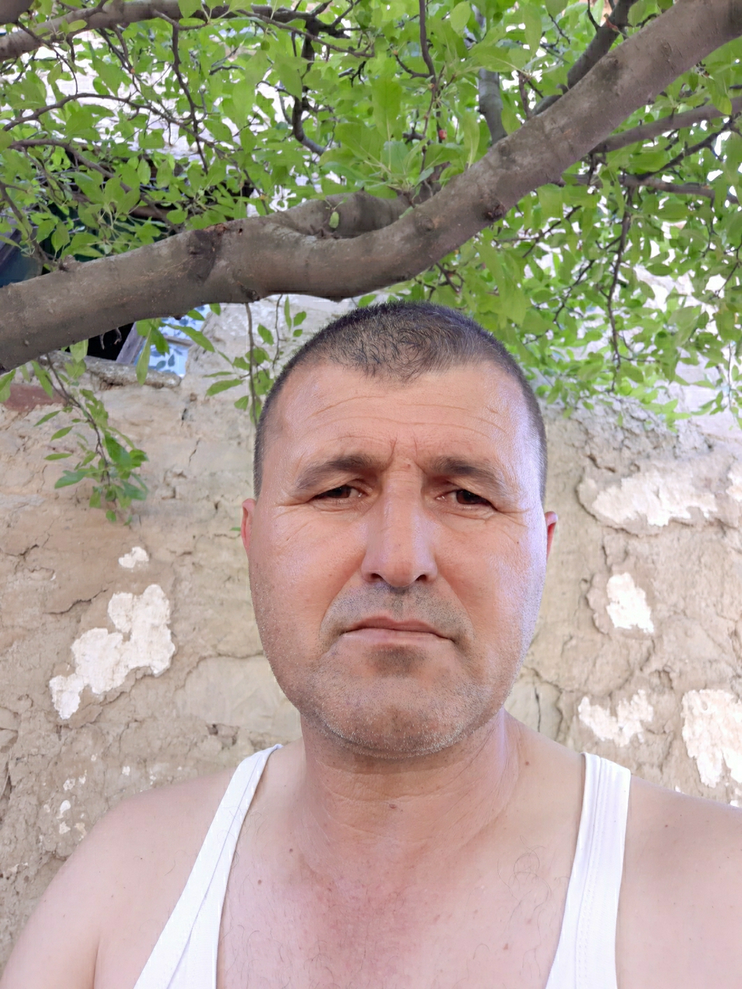 Süleyman