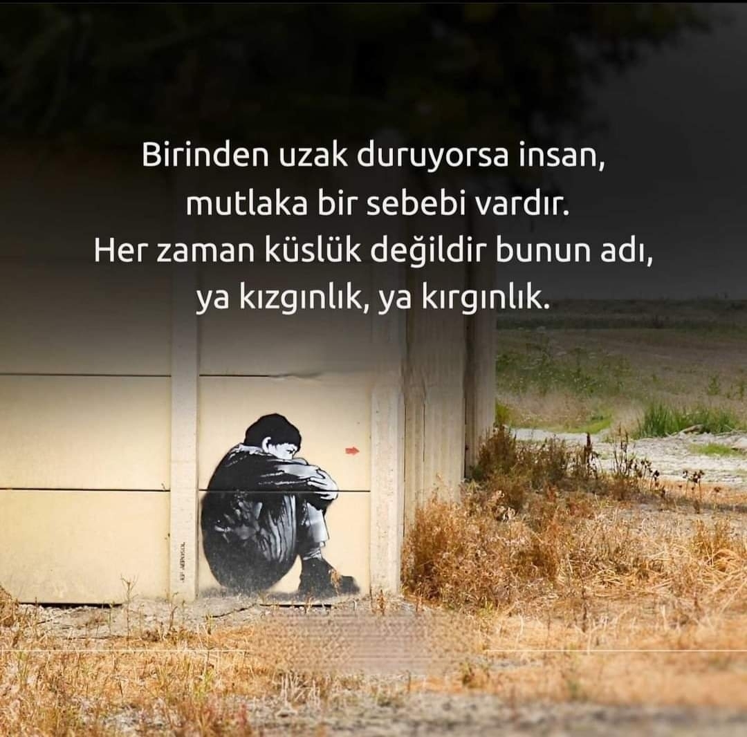 Ulvi