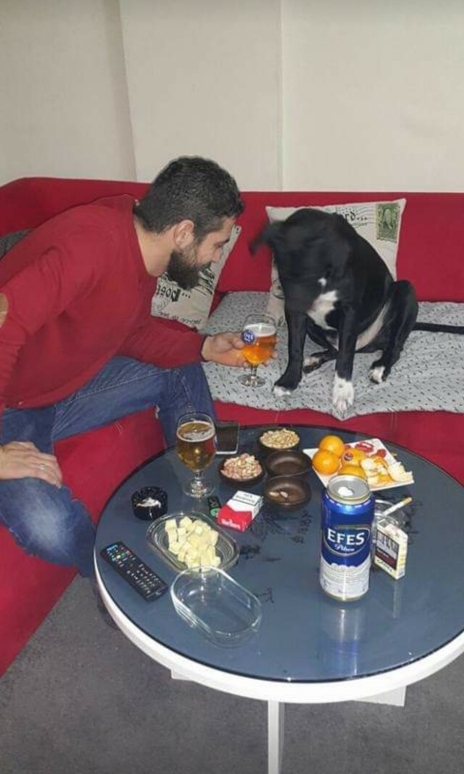 Wolkan
