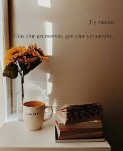 Duygu