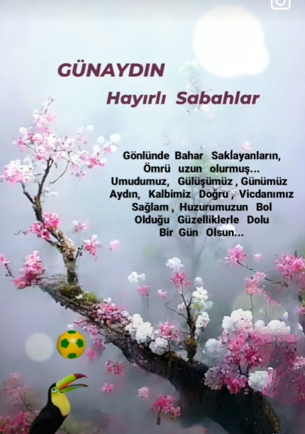 Seval
