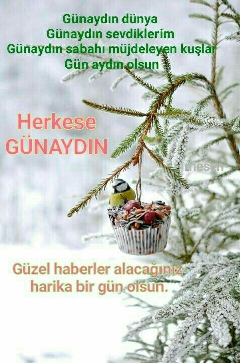 Melek
